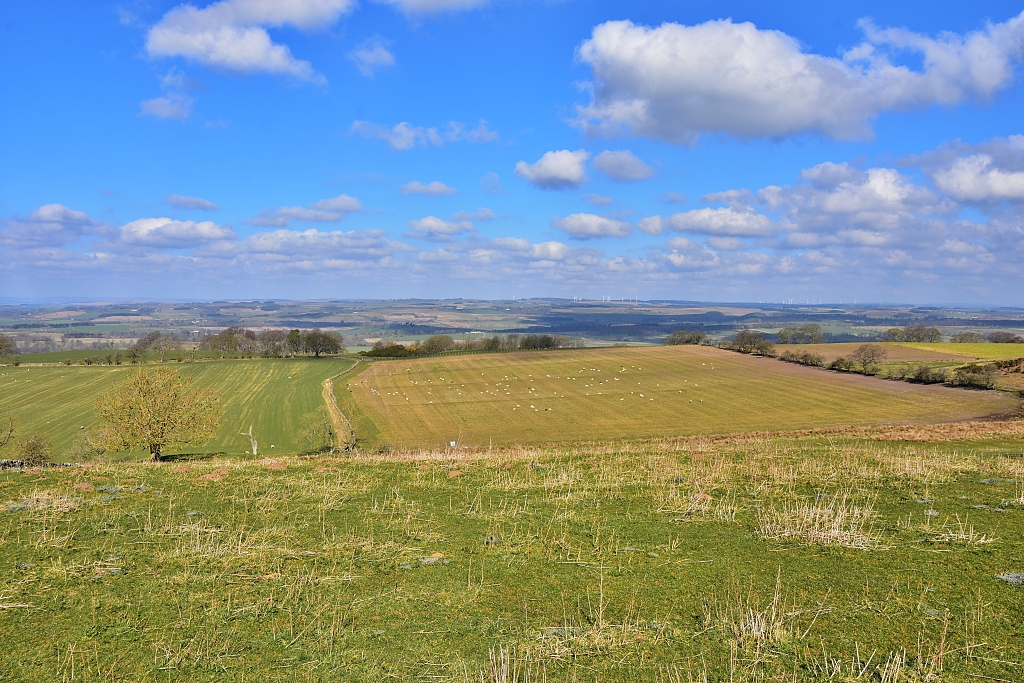 View from St. Oswald's Church at Heavenfield © essentially-england.com