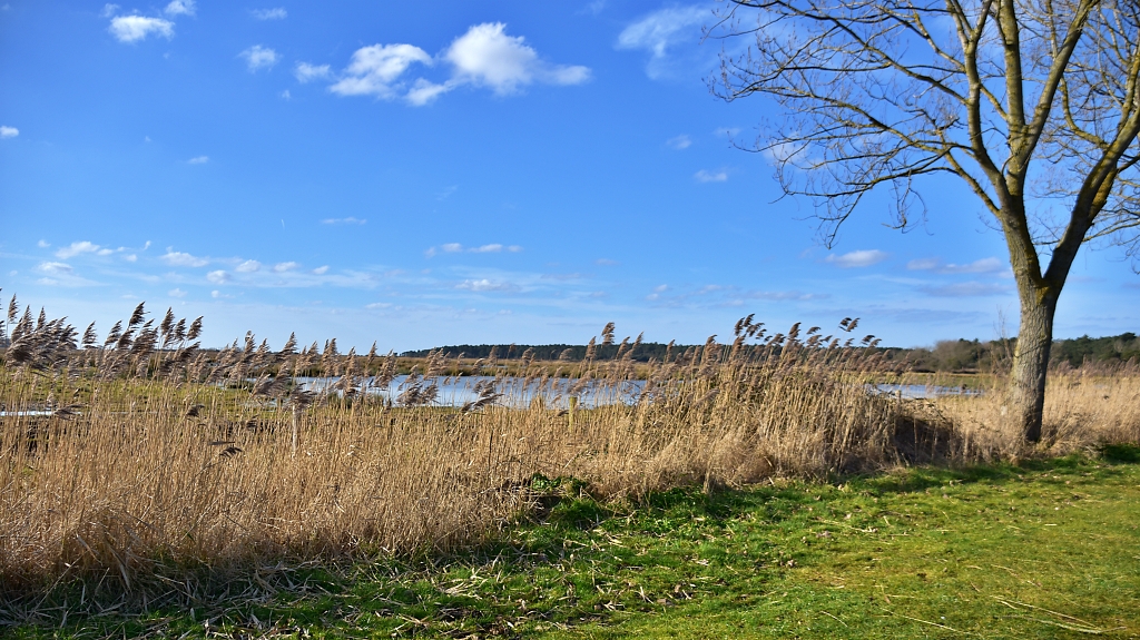 Holkham Nature Reserve