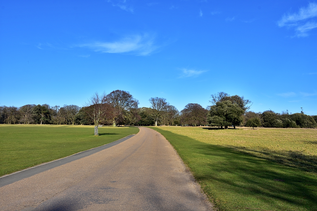 The View in Holkham Park