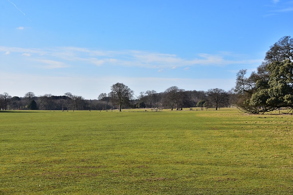 Holkham Park  © essentially-england.com