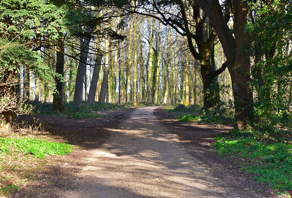 The Woodland Path Towards the East Gate © essentially-england.com