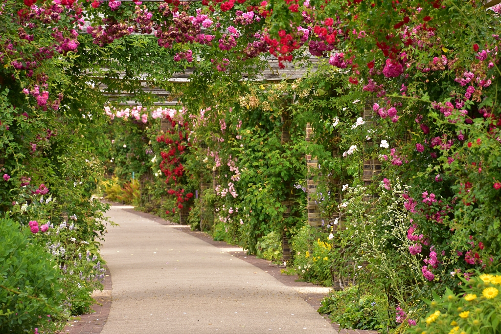 The Agius Evolution Garden © essentially-england.com
