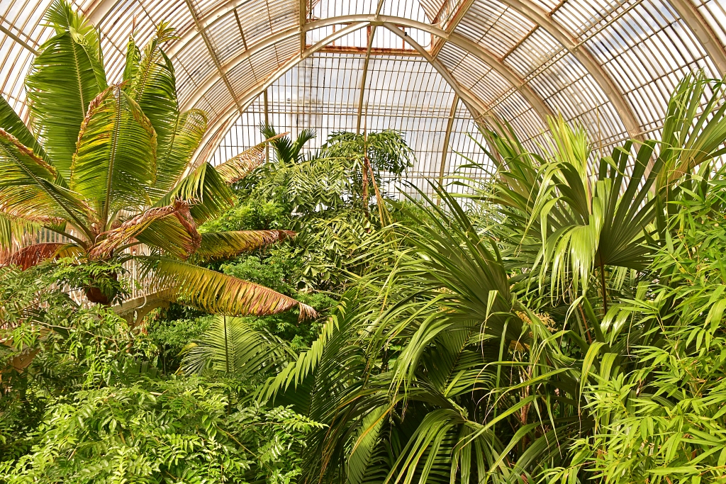 The Upper Walkway of the Palm House © essentially-england.com