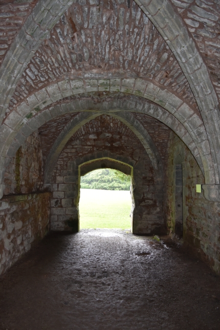 The beautifully vaulted slype at Lilleshall abbey