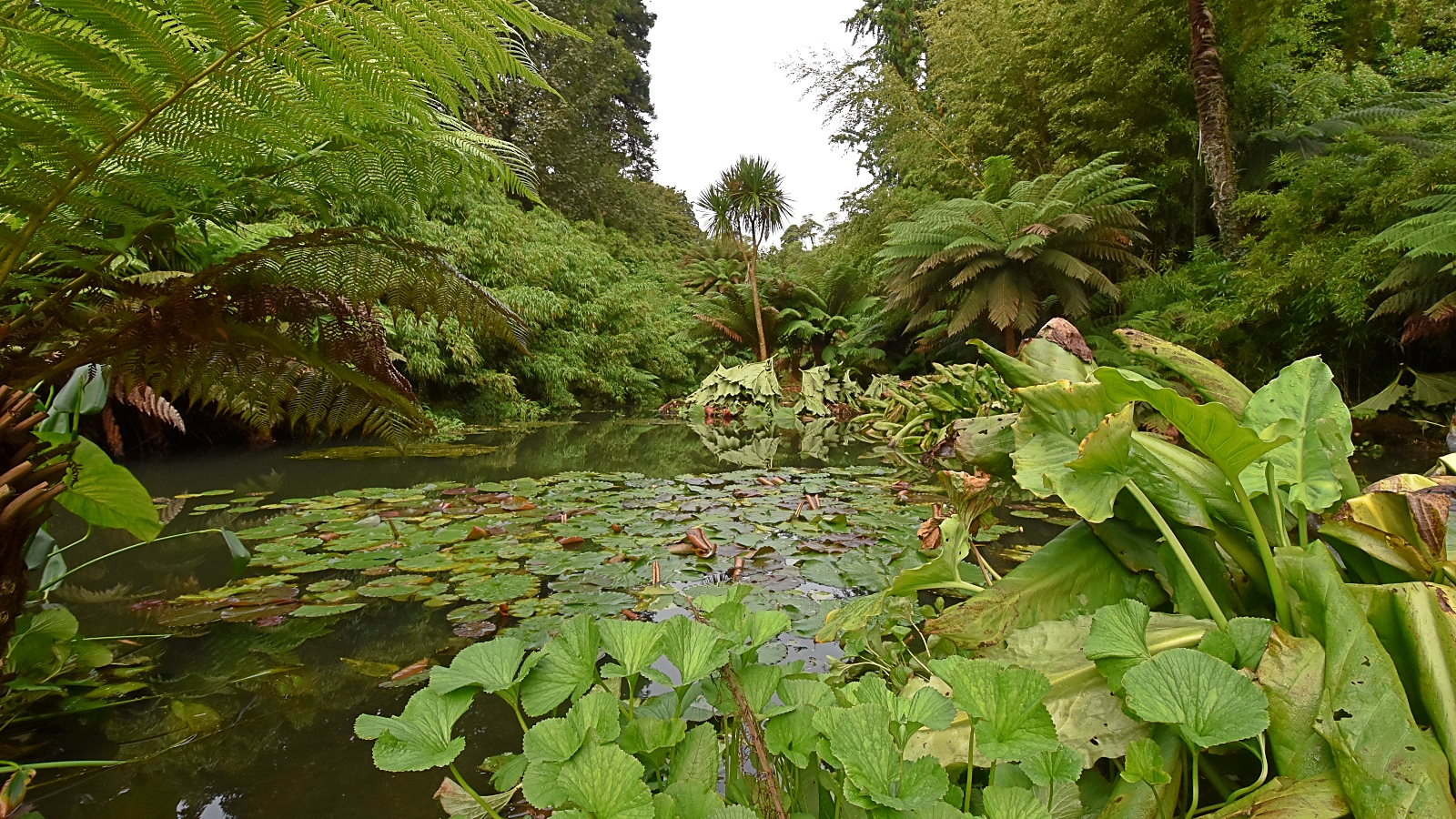 Lost Gardens of Heligan