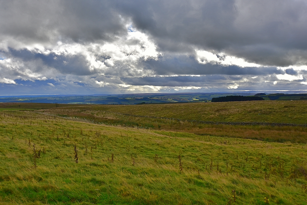 The Wild Landscape Around Carrawburgh Fort and Temple of Mithras