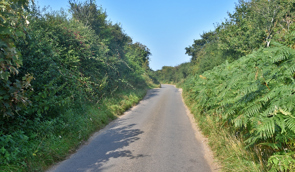Cycling in Norfolk - A Quiet Small Norfolk Road Near Salthouse