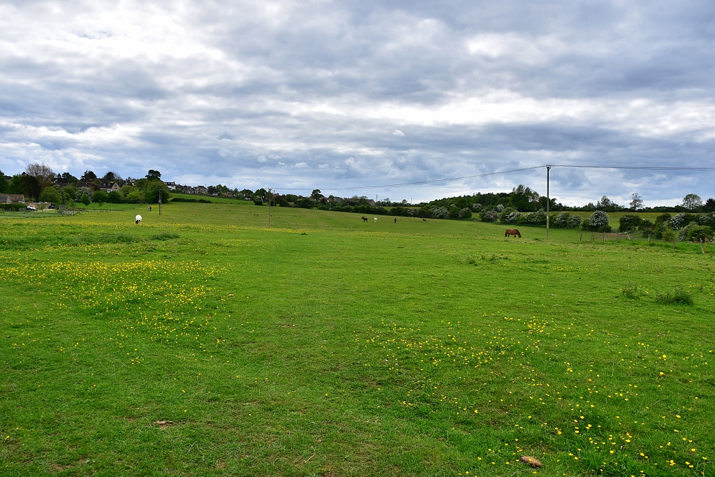 View Across Field to North Leigh Village © essentially-england.com