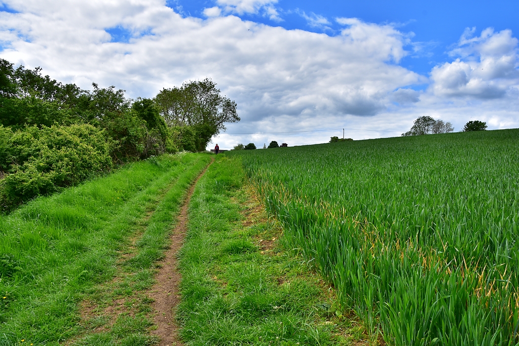 The Footpath to East End Village © essentially-england.com