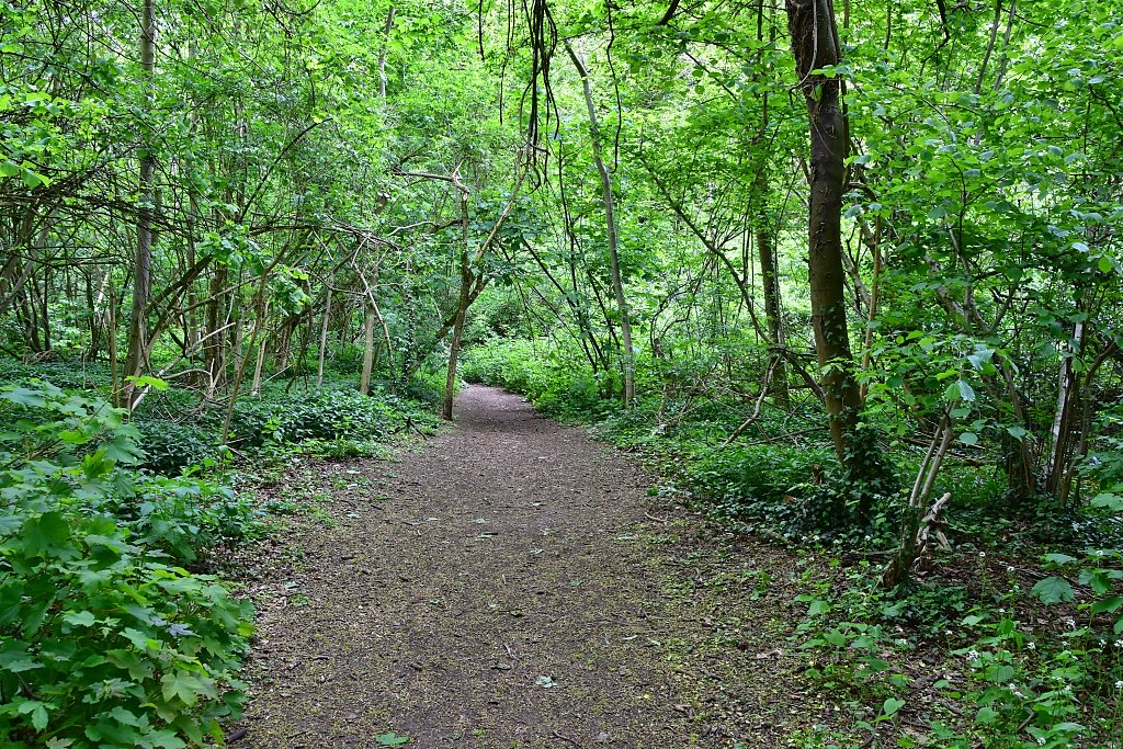 The Woodland Footpath to Combe © essentially-england.com