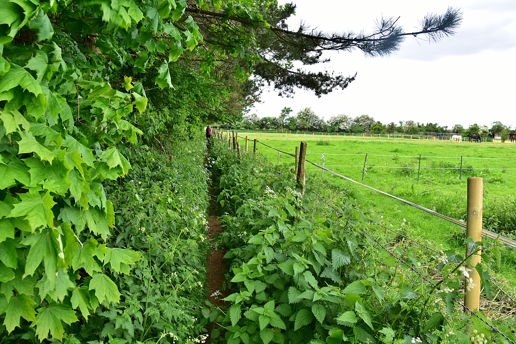 Over Grown Footpath Leaving East End © essentially-england.com