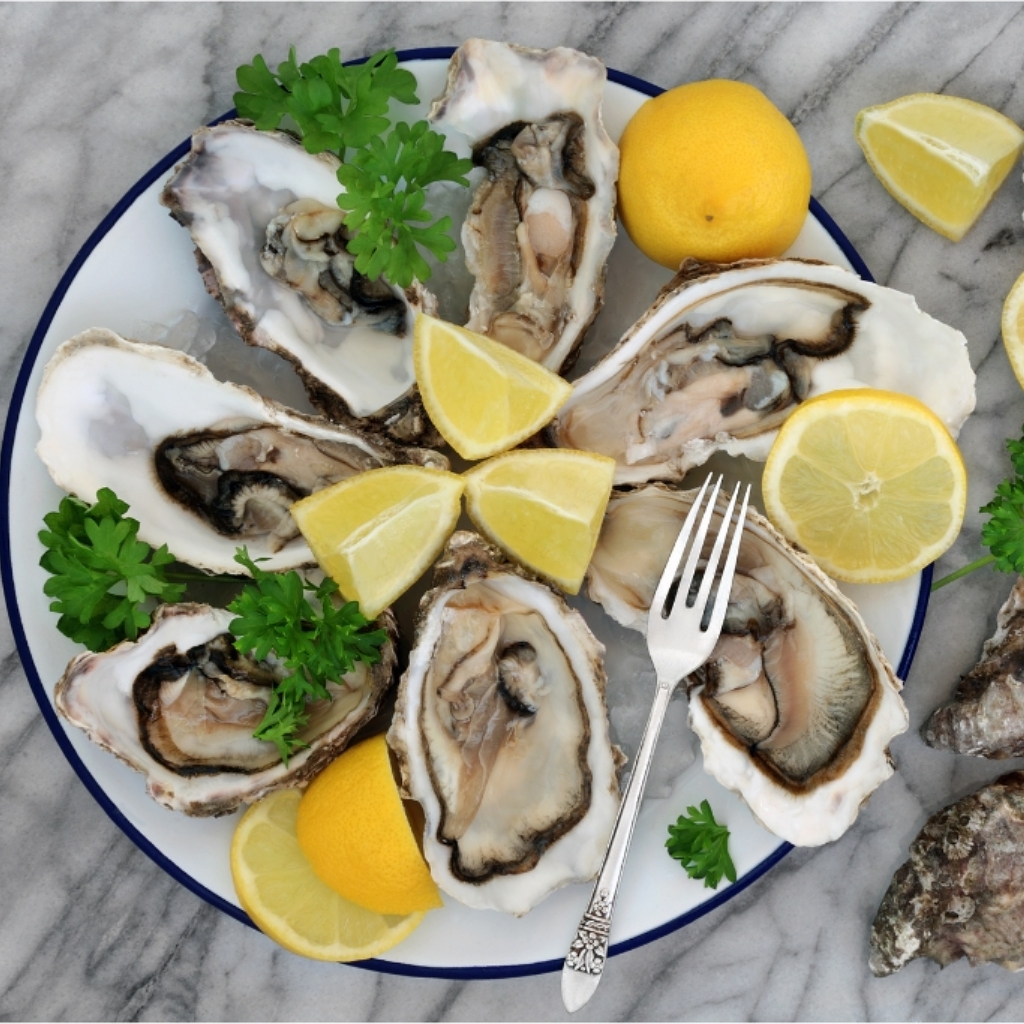 Plate of Oysters © marilyna | Getty Images | canva.com