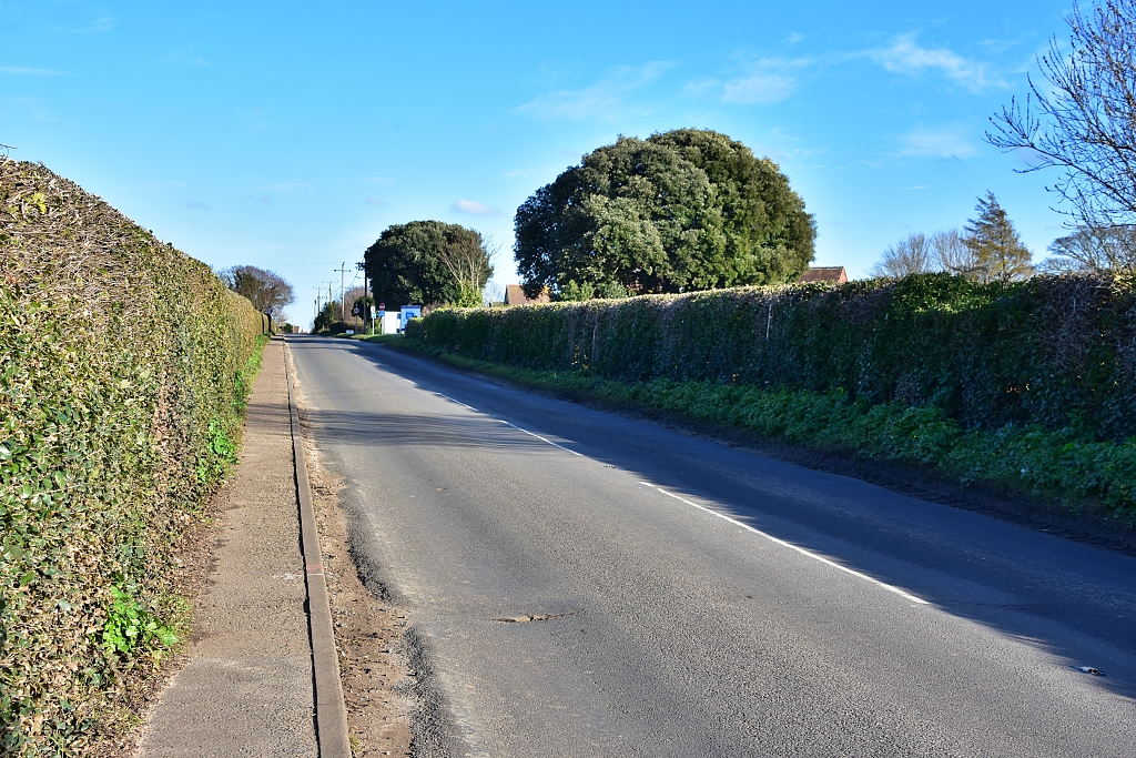 The Road back to Wells-next-the-Sea