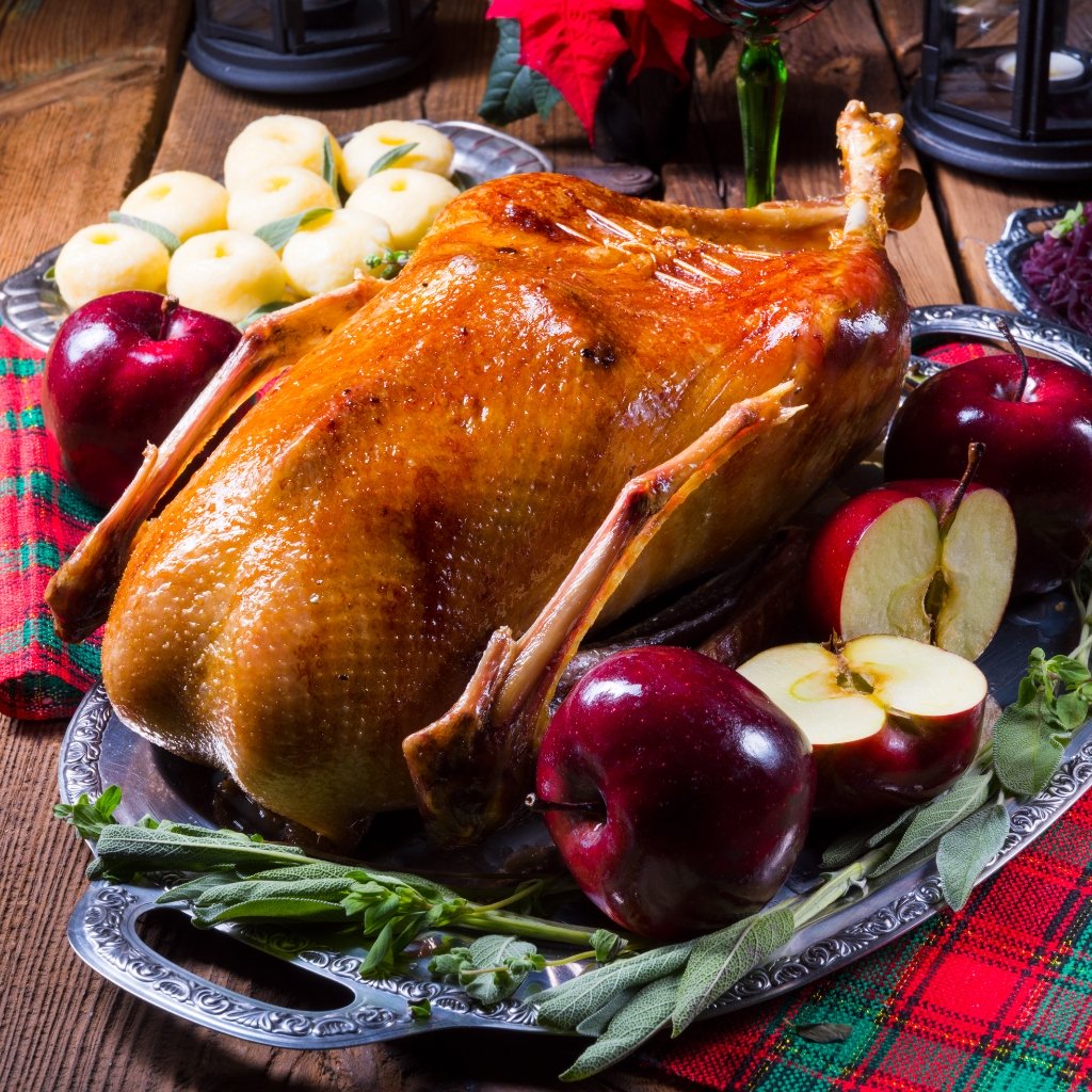 Roast Goose © Darios Dazinik | canva.com