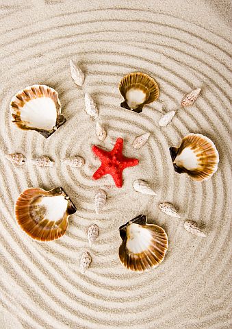 Seashells and Starfish © Janpietruszka | Dreamstime.com