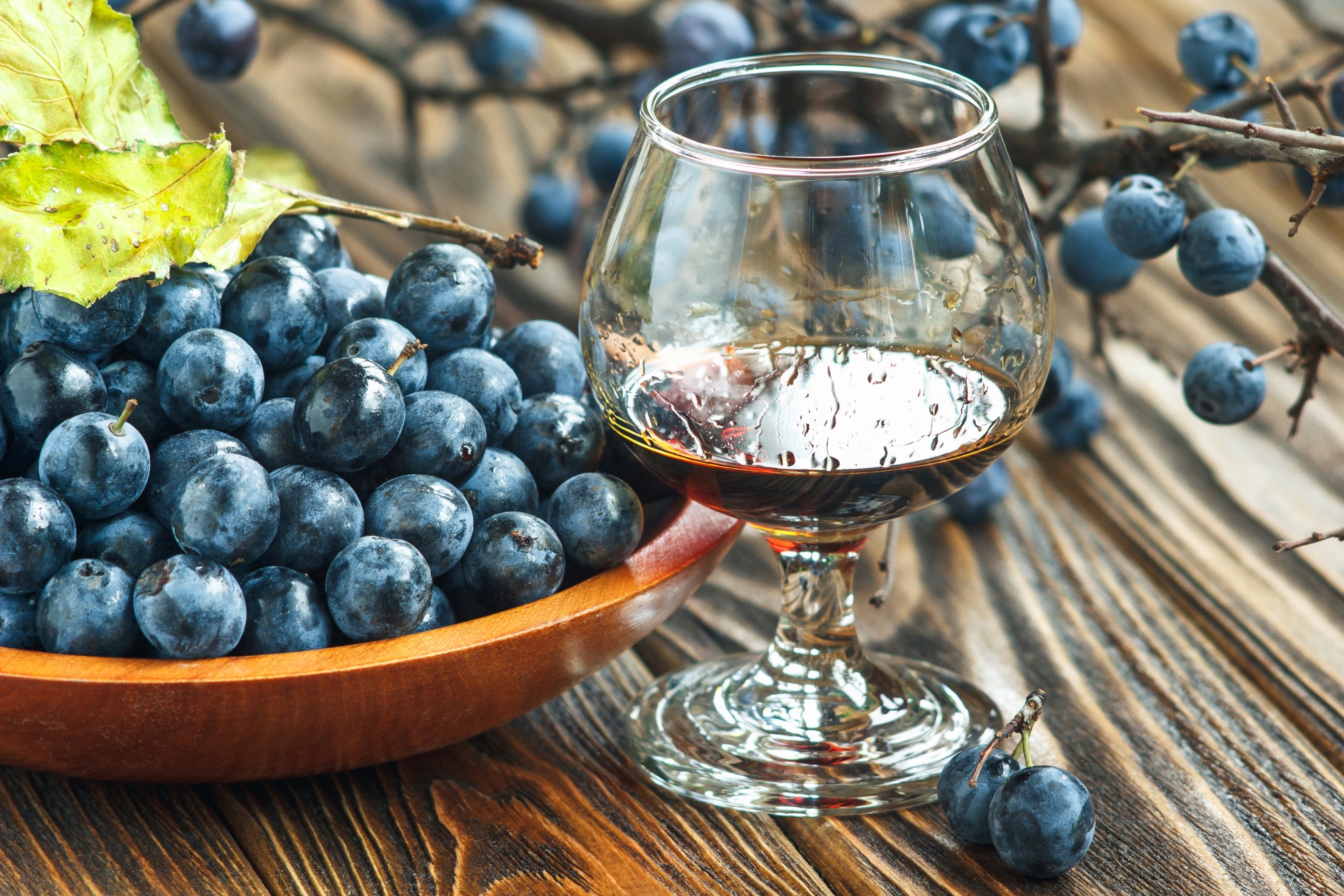 Sloe Gin © bozhenamelnyk | 123RF.com