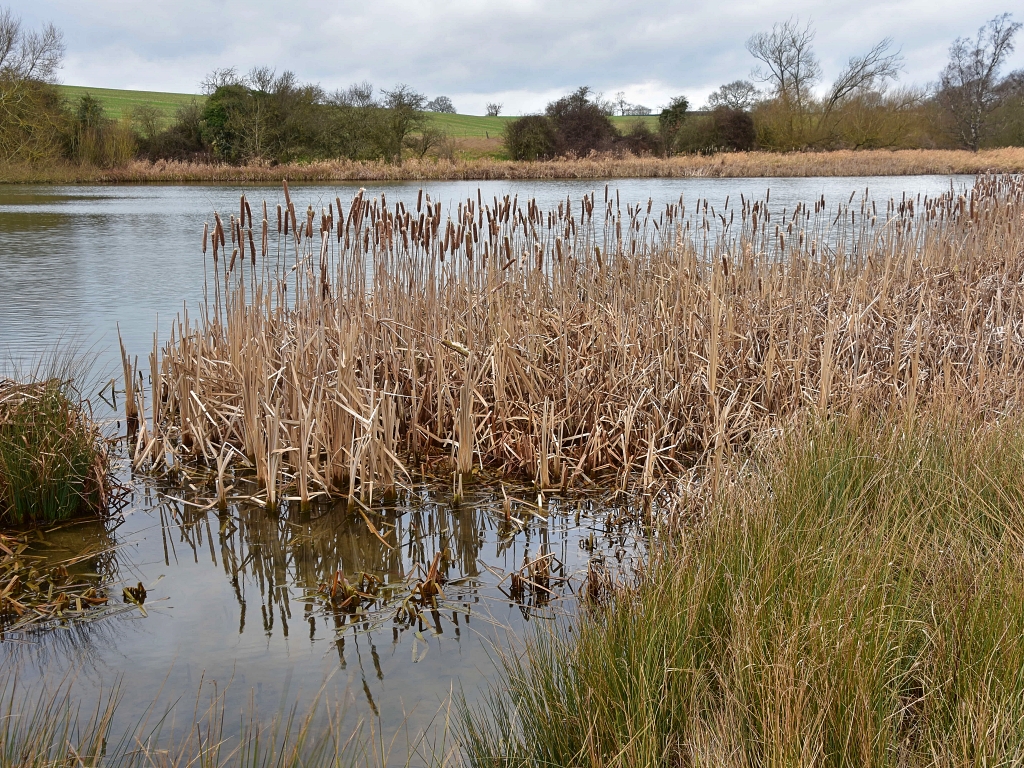 Haymanger Pond in the Stowe Parkland © essentially-england.com