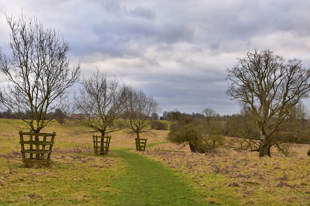 Stowe Parkland Scene