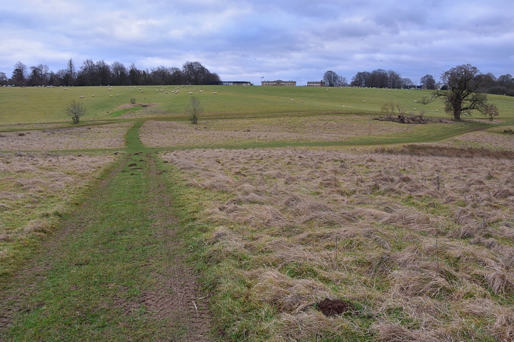 The Footpath Crossroads Where The Route Turns Right