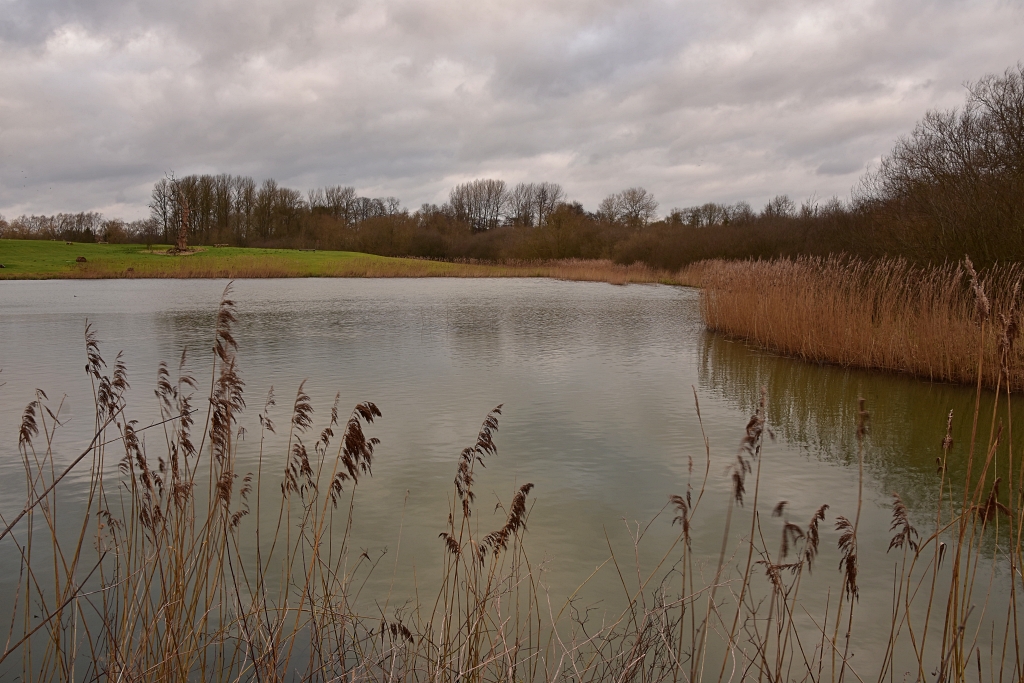 Spring Fed Pond at Start of Stowe Parkland Walk