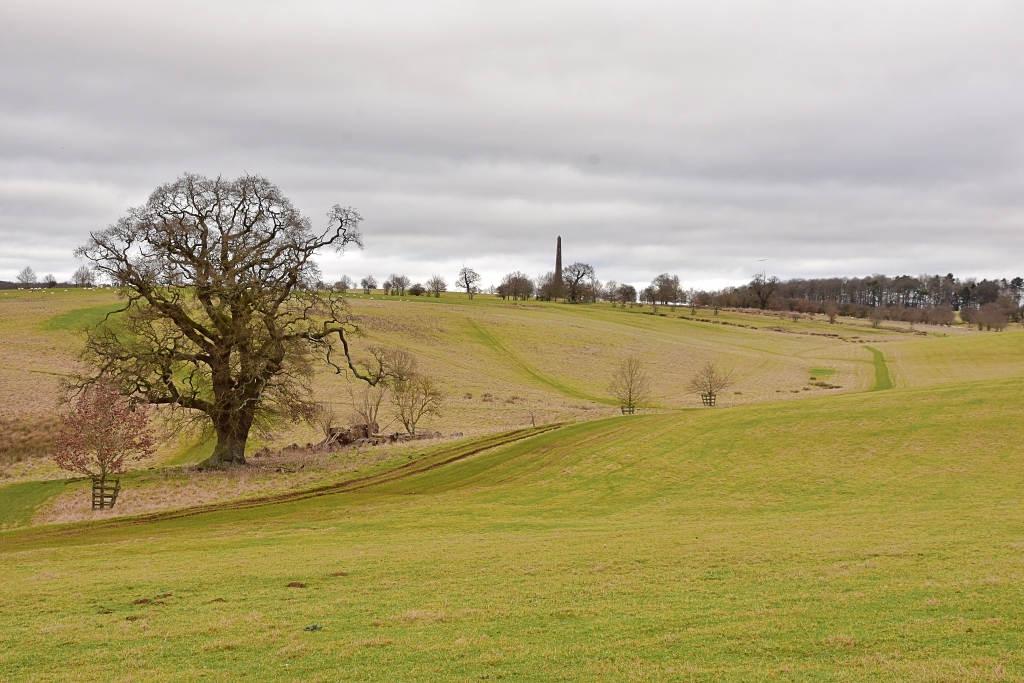 The Parkland View from Home Farm