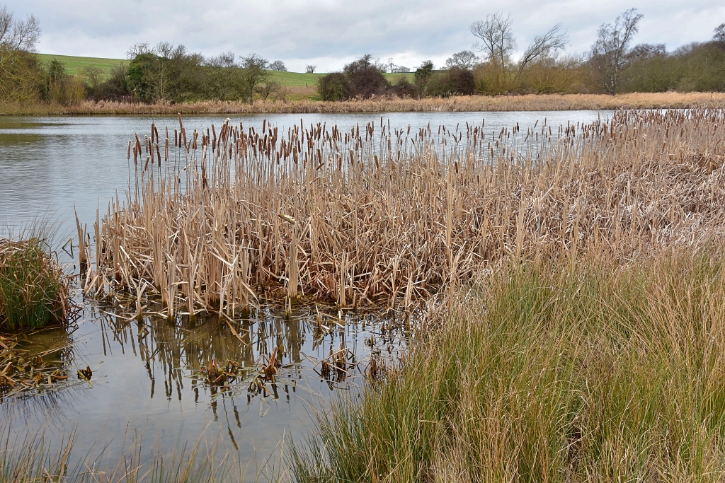 Haymanger Pond on the Stowe Estate