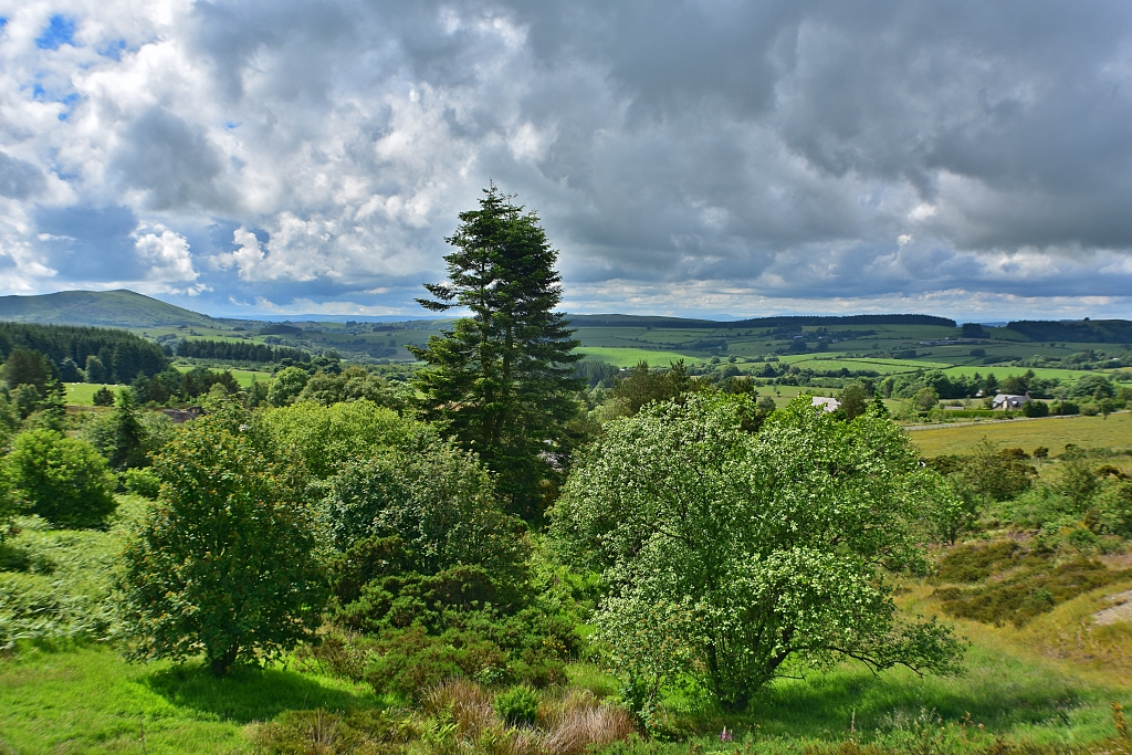 The View from The Bog Mine