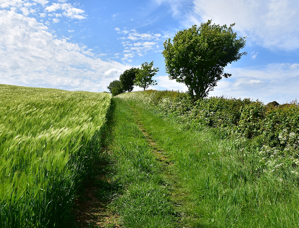 The Footpath Away from the Lake © essentially england.com