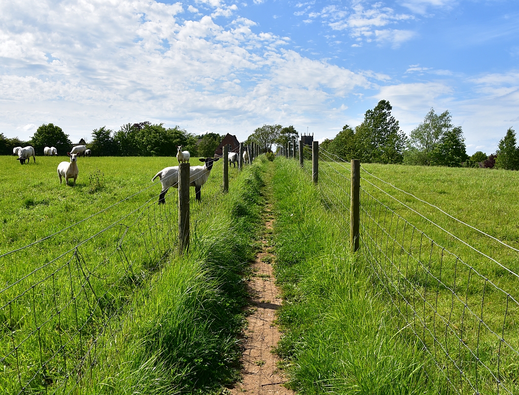 The Footpath Towards Village Hall and Church