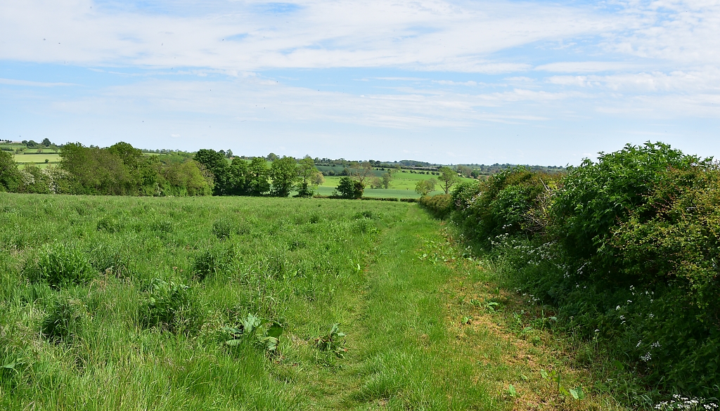 The Footpath Down to the Gap in the Hedge © essentially england.com