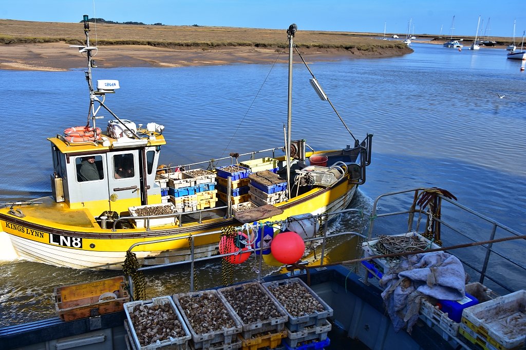 The Latest Catch at Wells-next-the-Sea © essentially-england.com