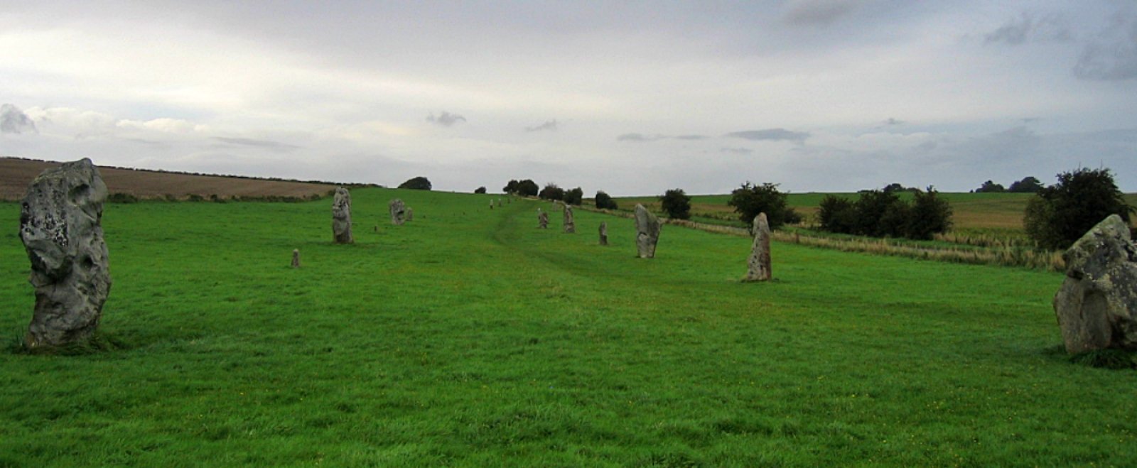 The West Kennet Avenue at Avebury